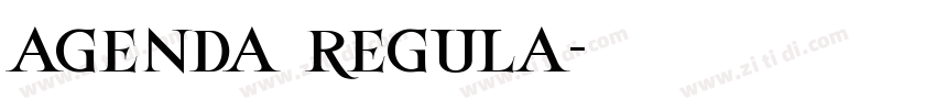 agenda regula字体转换